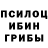 Галлюциногенные грибы Magic Shrooms Kurt sietl